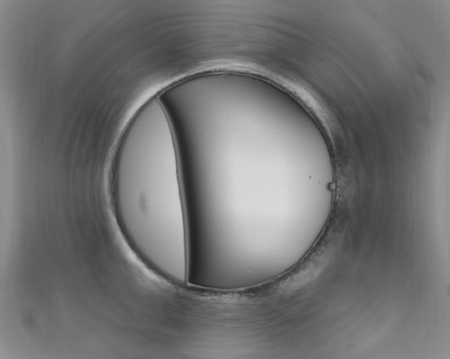 X0000111360999200907100952