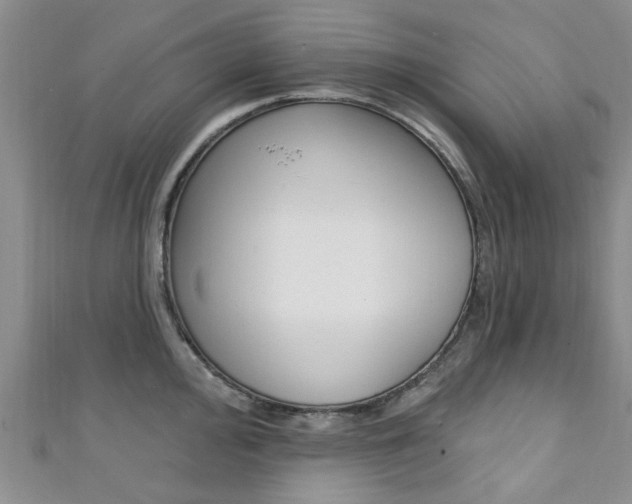 X0000111361000200907100952