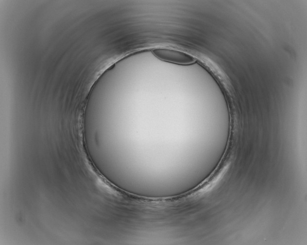 X0000111361001200907100952
