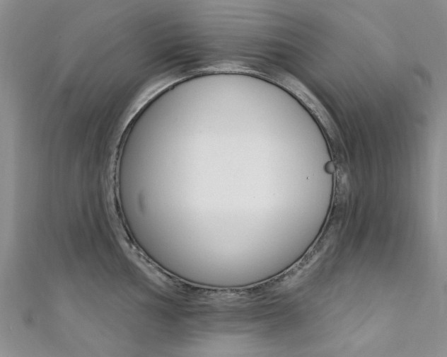 X0000111361002200907100952