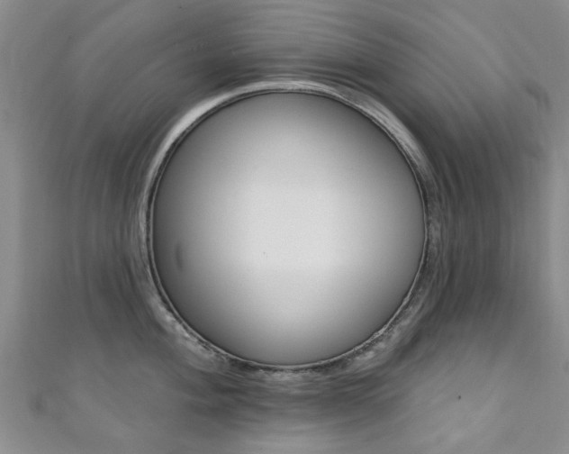 X0000111361004200907100952