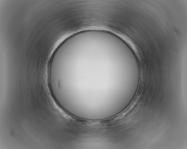 X0000111361006200907100952