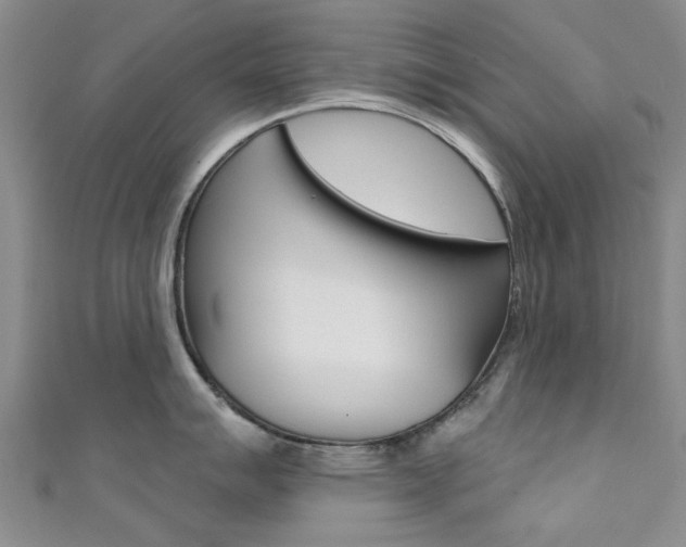 X0000111361007200907100952