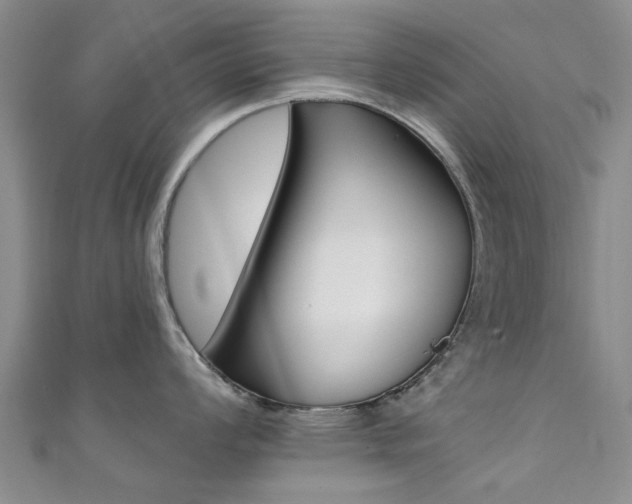 X0000111361008200907100952