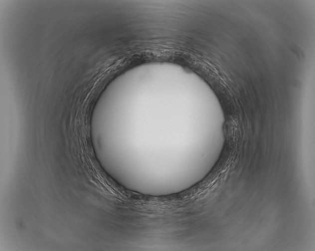 X0000111361009200907100951