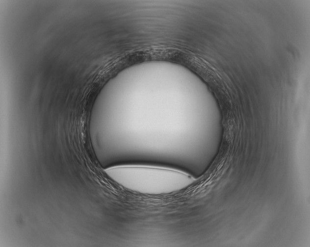 X0000111361010200907100951