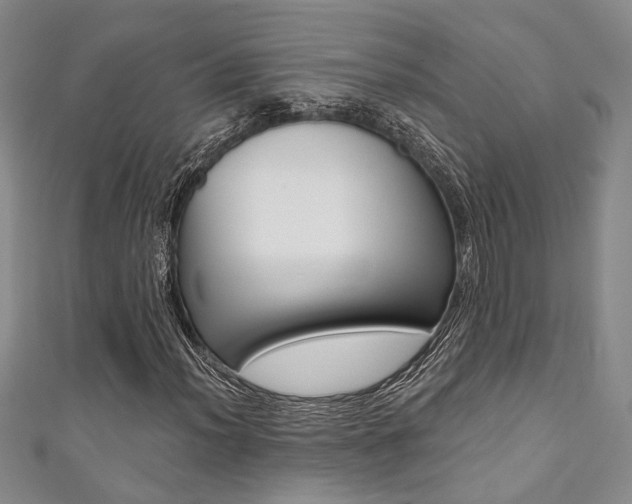 X0000111361012200907100951