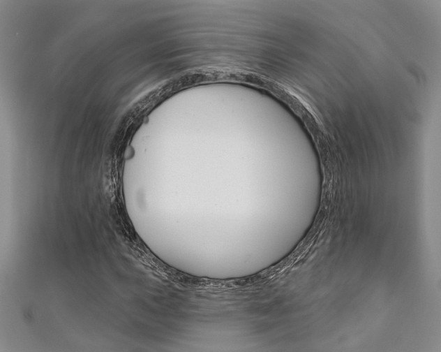 X0000111361015200907100951
