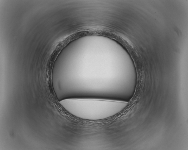 X0000111361016200907100951
