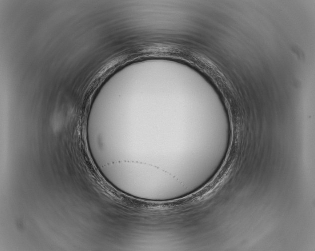 X0000111361017200907100951
