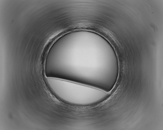 X0000111361018200907100952