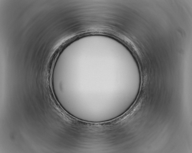 X0000111361019200907100952