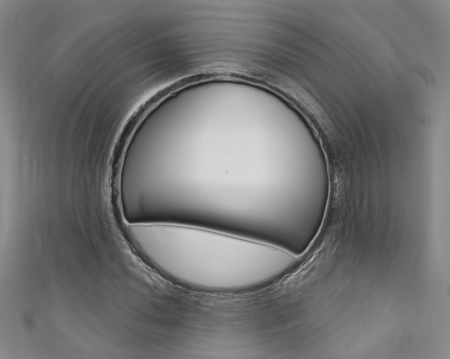 X0000111361020200907100952