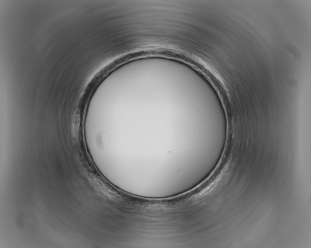 X0000111361021200907100952