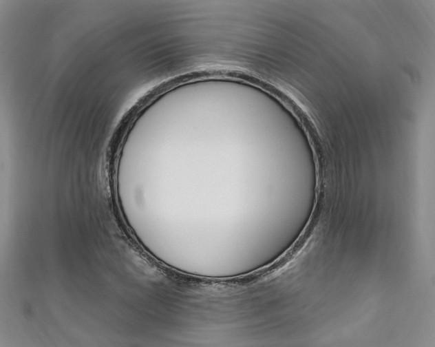 X0000111361022200907100952