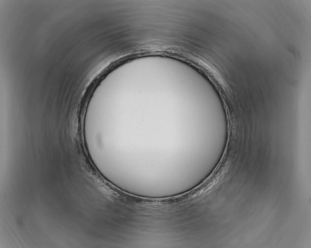 X0000111361023200907100952