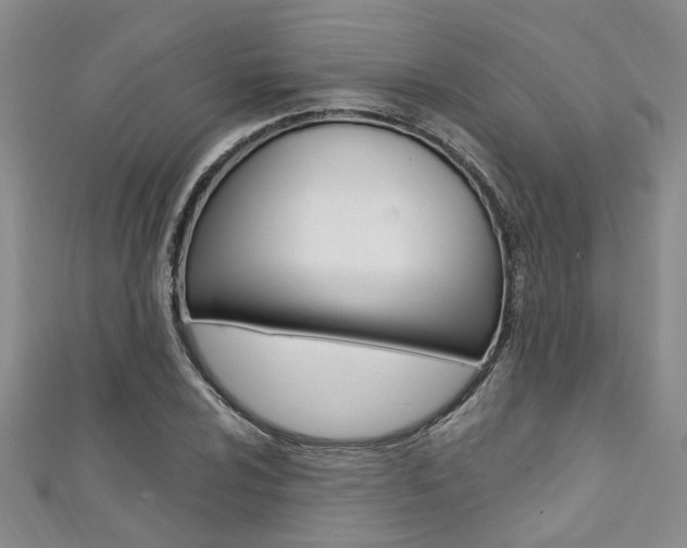 X0000111361024200907100952