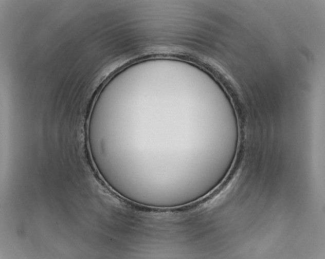 X0000111361025200907100952