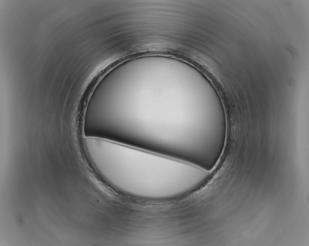 X0000111361026200907100952