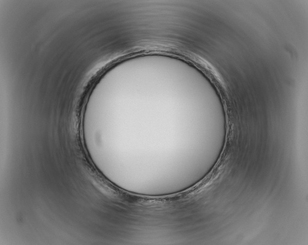 X0000111361027200907100952
