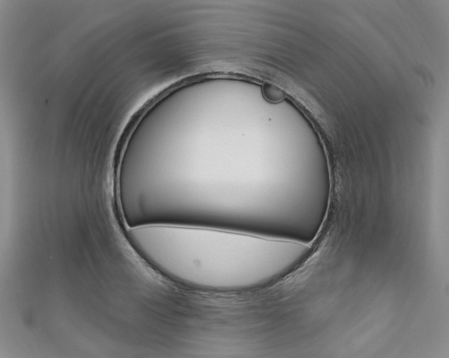 X0000111361028200907100952