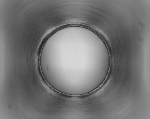 X0000111361029200907100952