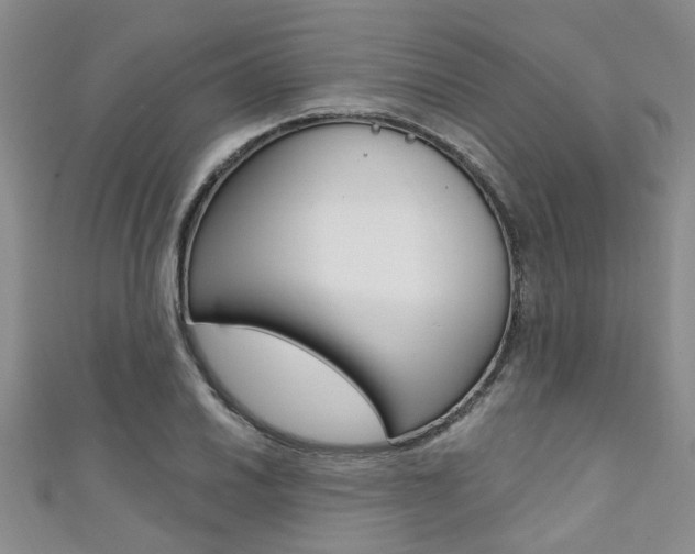 X0000111361030200907100952