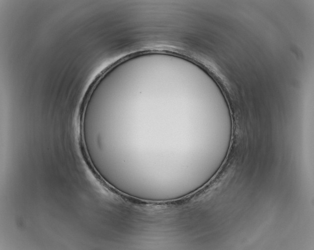 X0000111361032200907100952