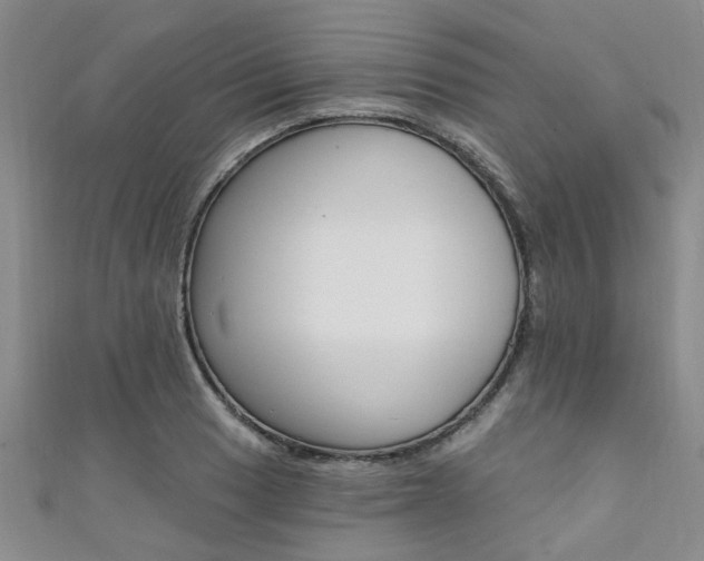 X0000111361033200907100952