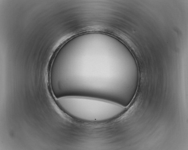 X0000111361034200907100952