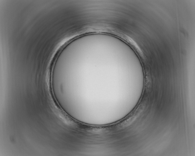 X0000111361035200907100952