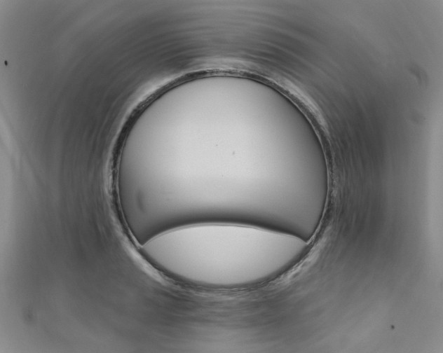 X0000111361037200907100952