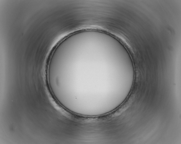 X0000111361038200907100952