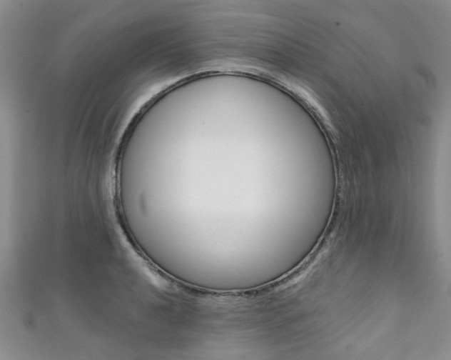 X0000111361040200907100952