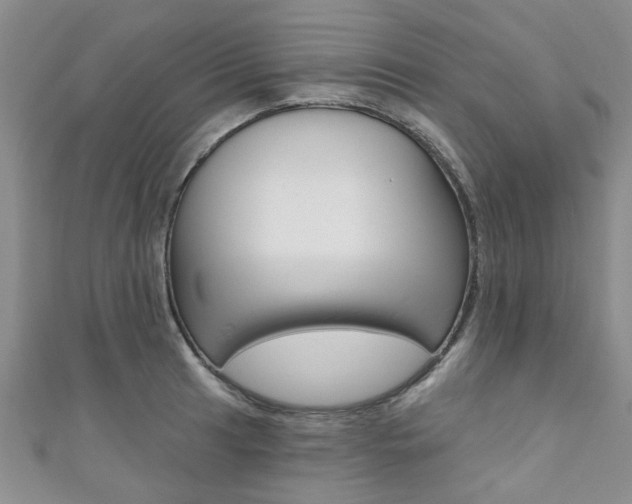 X0000111361041200907100952
