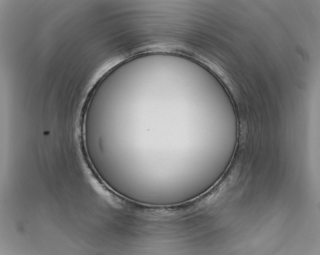 X0000111361042200907100952