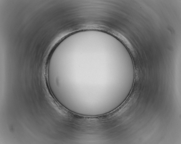 X0000111361043200907100952
