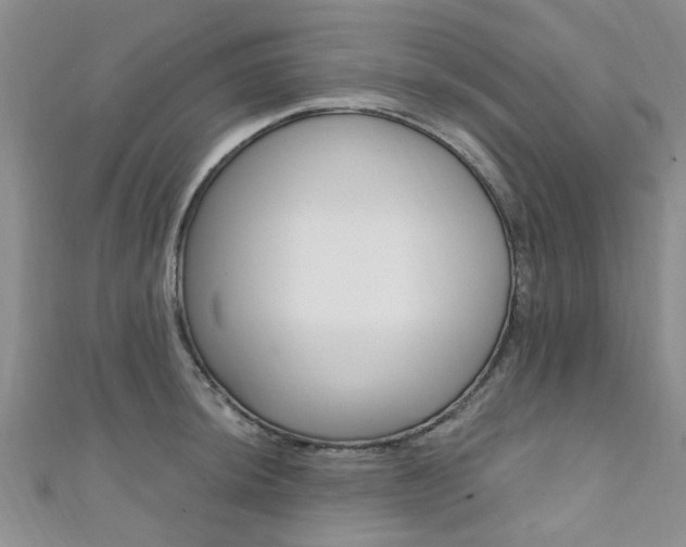 X0000111361044200907100952