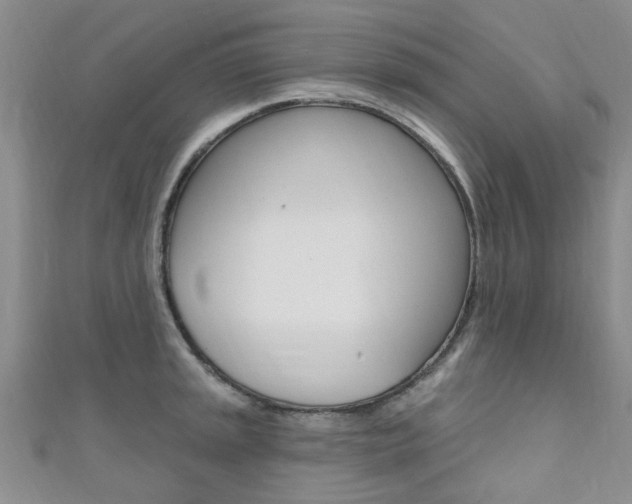 X0000111361045200907100952