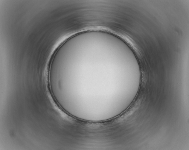 X0000111361046200907100952