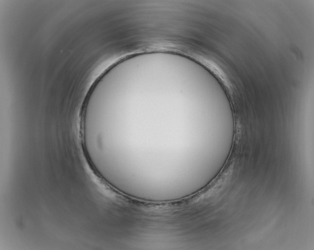 X0000111361047200907100952