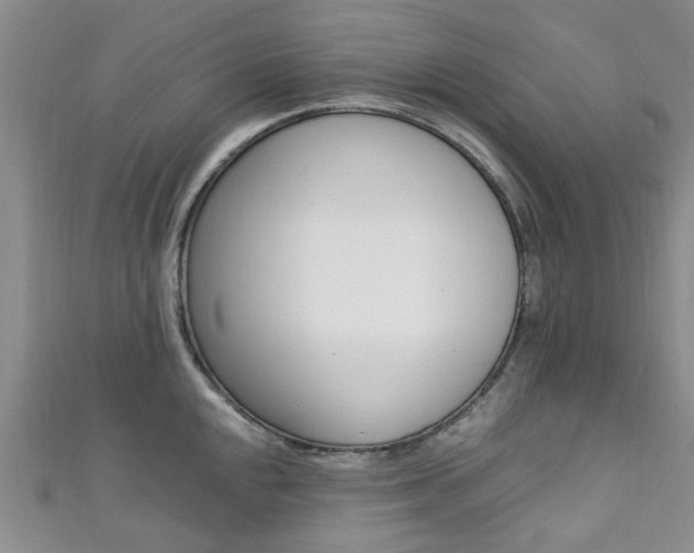 X0000111361048200907100952