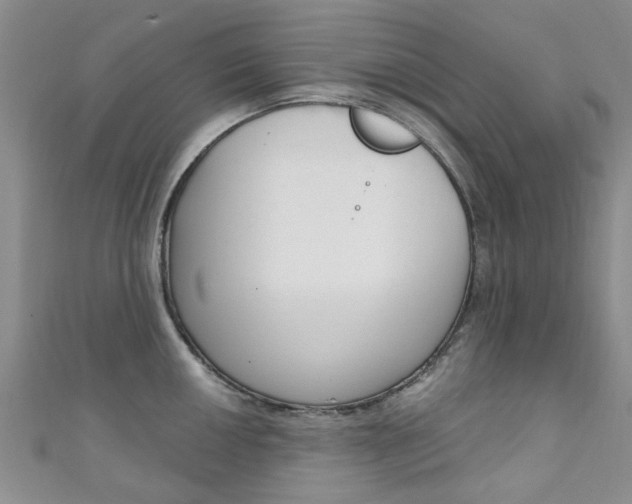 X0000111361050200907100952