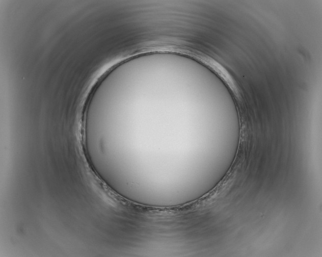 X0000111361051200907100952