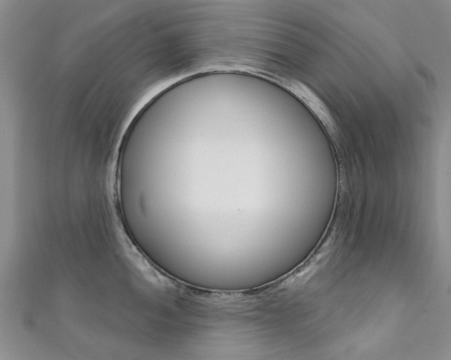 X0000111361052200907100952