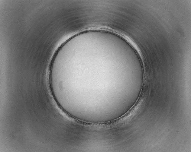 X0000111361053200907100952