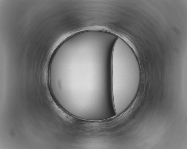 X0000111361054200907100952