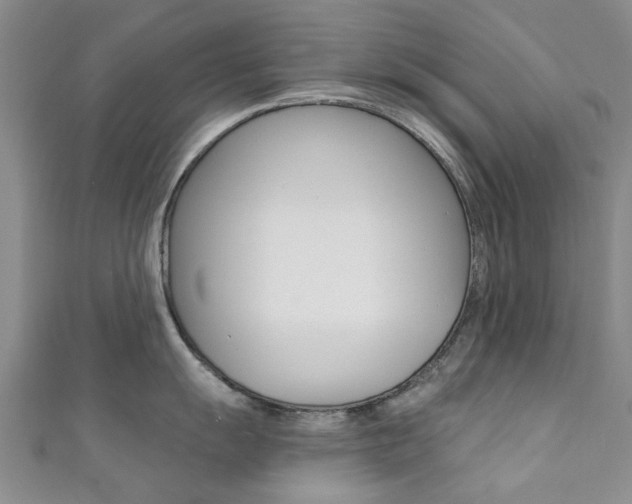 X0000111361055200907100952