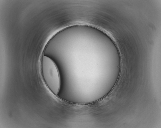 X0000111361056200907100952