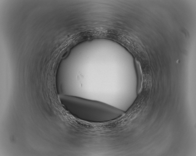 X0000111361057200907100951